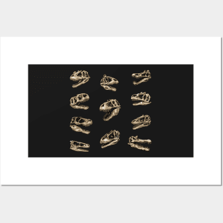 Dinosaur Skull Sticker Set Theropods Posters and Art